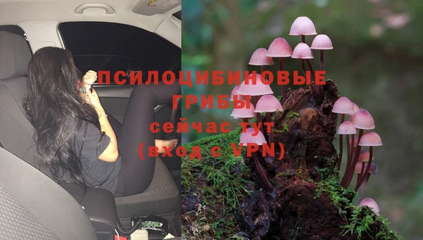 герыч Аркадак